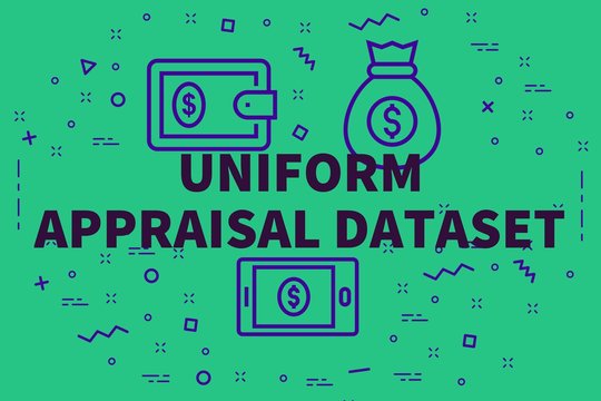 Conceptual business illustration with the words uniform appraisal dataset