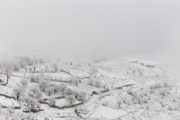 Fototapeta premium Snowfall in Filband, Mazandaran, Iran