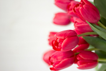 Obraz premium Large bouquet of pink tulips on white background. Selective focus.