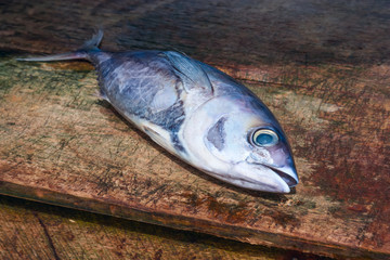 Fresh fish at the seafood market.