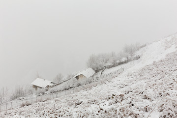 Fototapeta premium Cold Filband, Mazandaran, Iran