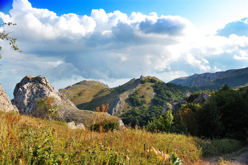 Rocky mountains with grass and forest against blue sky with clouds