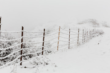 Fototapeta premium Fence in Countryside, Mazandaran, Iran