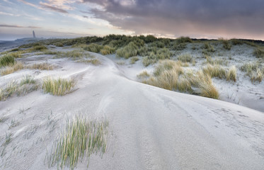 morning on sand dunes by coast