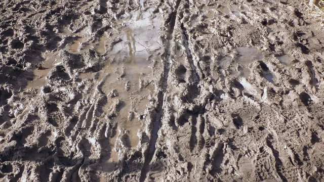 Bike ride through muddy dirt track. View down on wet ground with mud and puddles. Baker Path, Tarvin, Cheshire, England