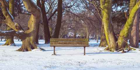 Lonely Bench (With Snow)
