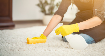 Housewife cleaning carpet.
