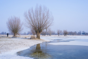 Zimowy poranek na Mazowszu. Wierzby nad brzegiem zamarzniętej rzeki