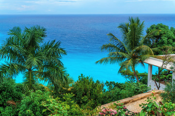 glorious view on the Caribbean azure sea and green palm trees