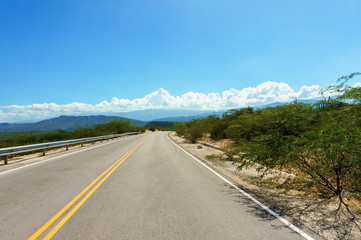 yellow dividing line on asphalt road
