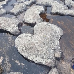 Existe amor no Morro do Pai Inacio