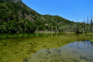 Fototapeta na wymiar 春の上高地明神池の情景