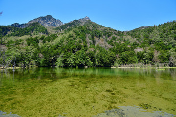 Fototapeta premium 春の上高地明神池の情景