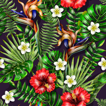 Seamless pattern with tropical flowers and leaves. Hibiscus, plumeria and strelicia flowers realistic.