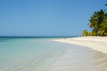 Pristine beach. Tropical Paradise in Dominican Republic. 