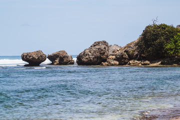 Fototapeta na wymiar A View of Sea-stacks in Bathsheba Beach, Barbados