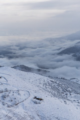 Obraz premium Alone in Winter, Mazandaran, Iran