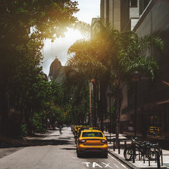 Row of yellow vacant taxi cars on street of Rio de Janeiro in Brazil with bicycles and palms in the...