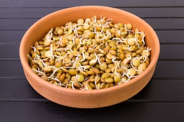 Close-up of green lentils in a clay bowl