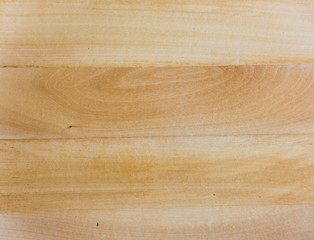 linden Wood Texture