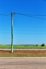 power line with electrical pole in the clear sky