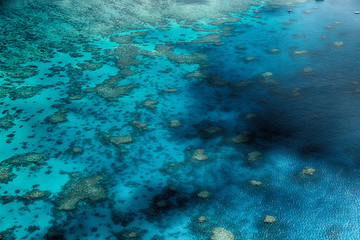 the great reef from the high