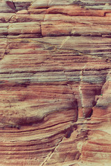 abstract background texture of the   rock