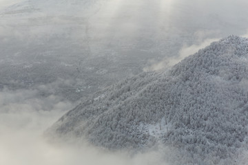 Obraz premium Fog in Landscape of Forest, Mazandaran, Iran