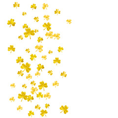 Shamrock background for Saint Patricks Day. Lucky trefoil confetti. Glitter frame of clover leaves.	 Template for special business offer, banner, flyer. Merry shamrock background.