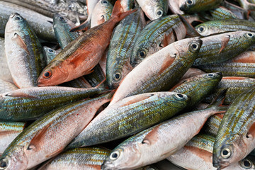 Many fishes on market