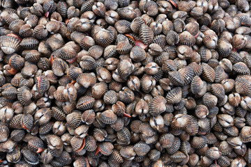 Lot of shellfish on market