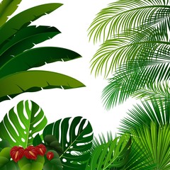 Naklejka premium Tropikalna dżungla na białym tle