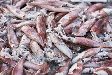 Small squids on market