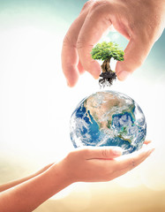 Earth day concept: Two human hands holding earth globe and big tree over blurred nature background....