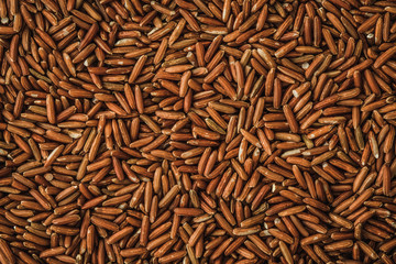 Close up a dark red rice seeds , , superfood with high nutritional and medical benefits