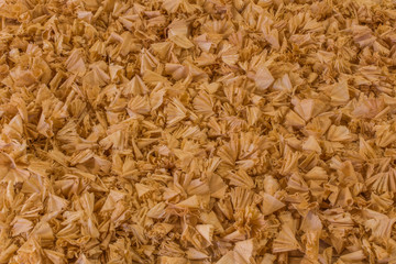 Wood Shavings