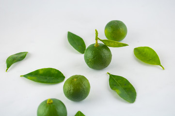 Lime isolated on white background

