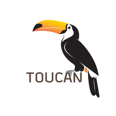 Vector of toucan birb design. Wild Animals. - obrazy, fototapety, plakaty
