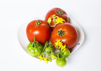 Harvested tomatoes on white background