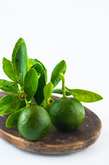 Lime isolated on white background

