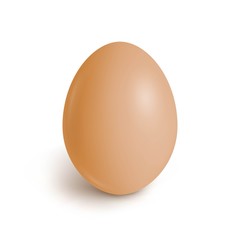 Realistic chicken egg. Brown egg isolated on white. Famous symbol of holiday of Easter. Vector illustration