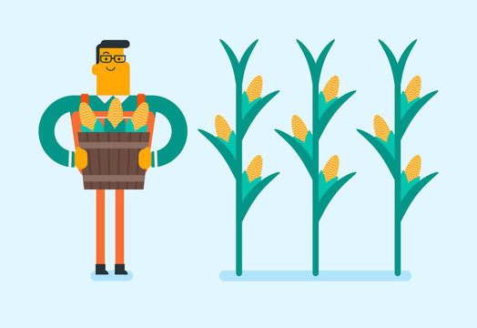 Young caucasian white farmer collecting corn crops in the field. Happy smiling farmer holding busket full of corn cobs. Vector cartoon illustration. Horizontal layout.