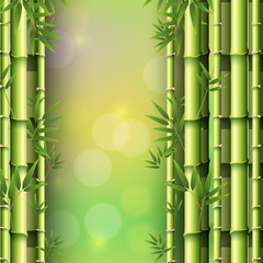 Background design with bamboo forest