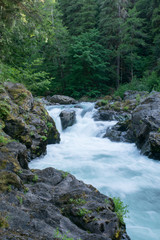 Olympic Peninsula Rain Forest