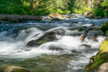 Orcas Stream