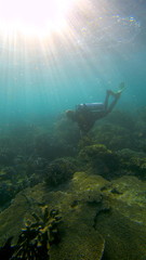 Fototapeta na wymiar divers on the coral reef, Raja Ampat, West Papua, Indonesia
