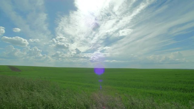 Timelapse of a green field and the sky