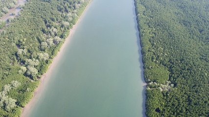 Mangrove forest aerial view