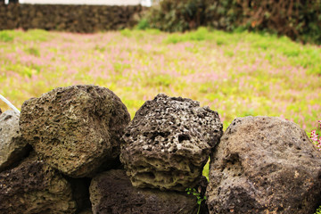 Beautiful Scenery of Jeju Island / Scenery Picture of Jeju Island, Korea