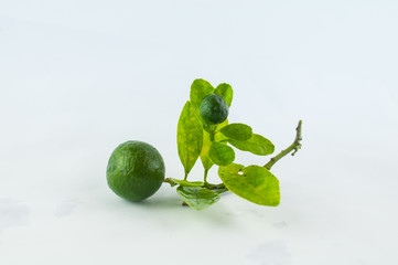 Lime. Fresh fruit with leaf isolated on white background.
